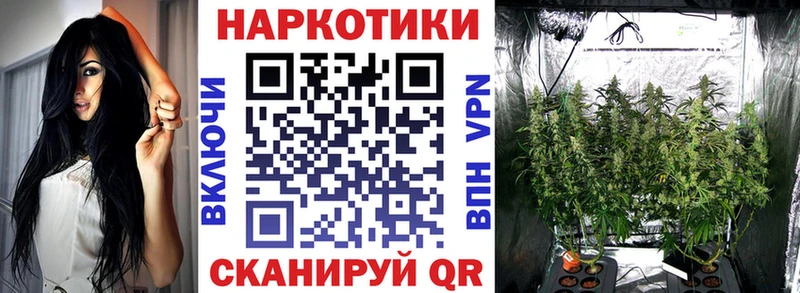 Виды наркоты Кола Амфетамин  ГАШИШ 